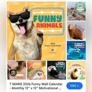 Funny Animals 2026 Wall Calendar